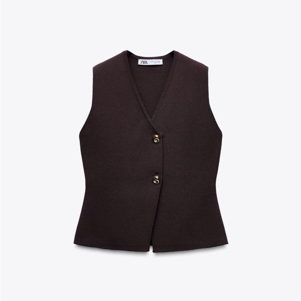 Zara Brown Top